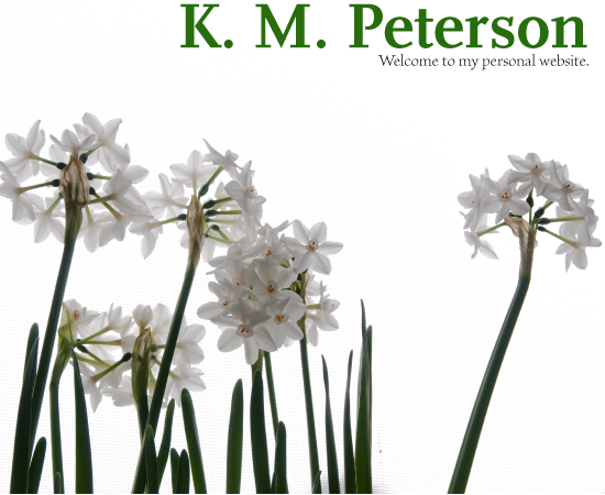 World IPv6 Day Header
