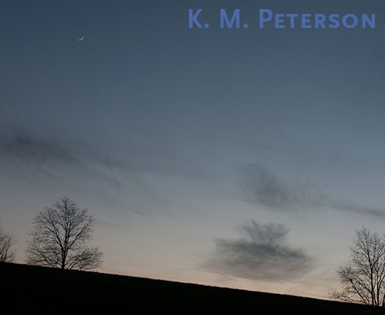 Sunset, Larz Anderson Park, Brookline, 15 December 201